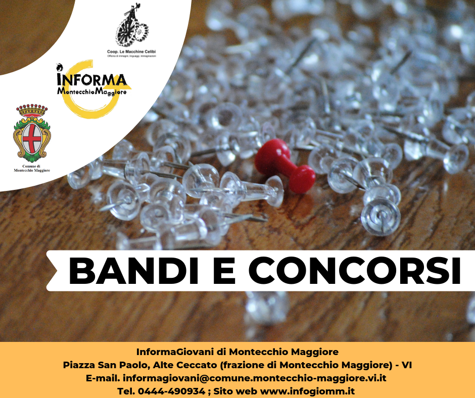 COMUNE DI VICENZA Progetto Giovani Montecchio Maggiore
