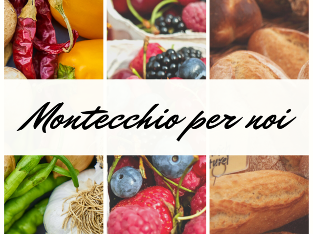 MONTECCHIO PER NOI ! Progetto Giovani Montecchio Maggiore MONTECCHIO PER NOI ! Progetto Giovani Montecchio Maggiore
