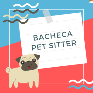 Bacheca Pet Sitter Progetto Giovani Montecchio Maggiore