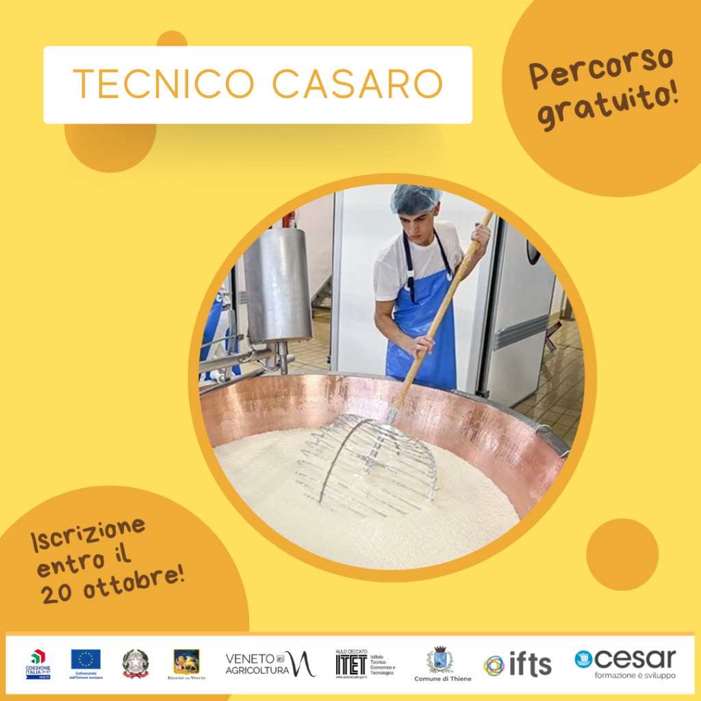 Home Progetto Giovani Montecchio Maggiore