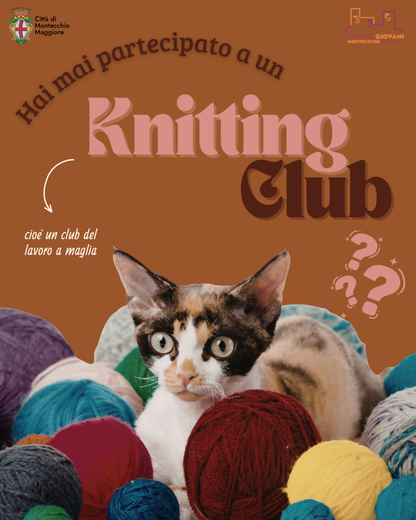 Hai mai partecipato a un Knitting Club?